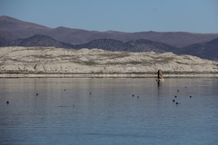 Mono Lake, CA, Photography