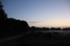 Photography Sepulveda Dam and WildLife Basin - Los Angeles