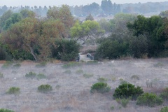 Photography Sepulveda Dam and WildLife Basin - Los Angeles