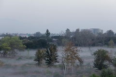 Photography Sepulveda Dam and WildLife Basin - Los Angeles