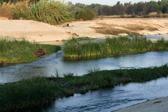 Photography Sepulveda Dam and WildLife Basin - Los Angeles