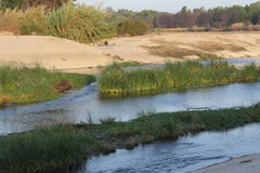 Photography Sepulveda Dam and WildLife Basin - Los Angeles