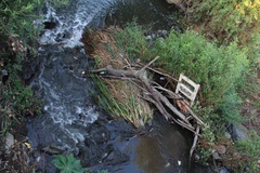 Photography Sepulveda Dam and WildLife Basin - Los Angeles