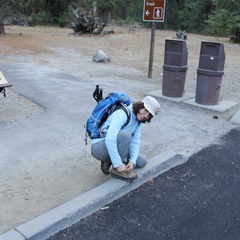 4 Mile Trail, Yosemite, CA, Half Dome