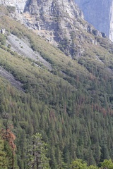 Yosemite, El Capitan, Cathedral Peak, Panorama